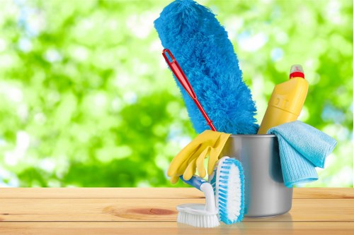 Tools and cleaners used for deep oven cleaning