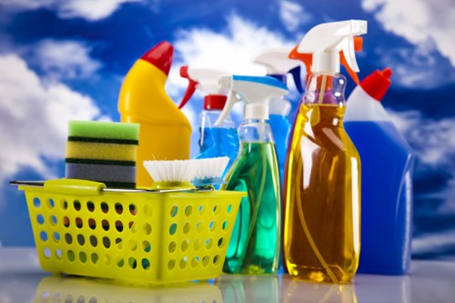 Various types of oven cleaners including chemical and natural options