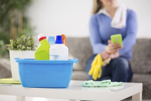 Essential tools for oven cleaning