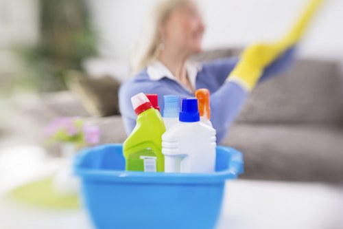 Cleaning supplies for oven maintenance