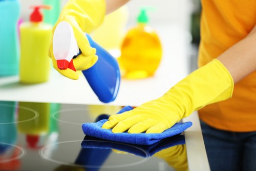 Cleaning agents being applied to an oven