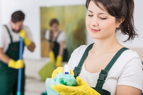 Eco-friendly cleaning solutions for home maintenance