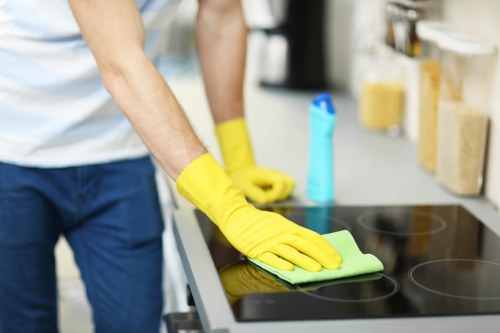 Eco-friendly cleaning products used for oven maintenance
