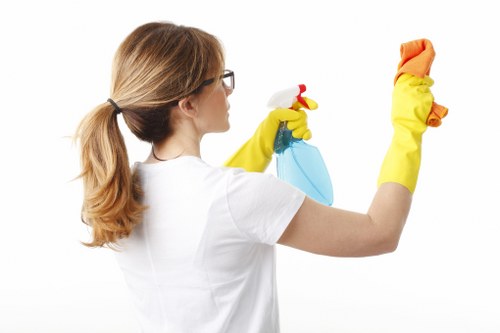 Professional cleaning service working on an oven